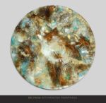 Picture of LIFE TRACES